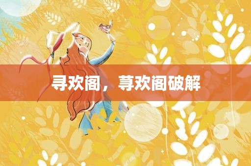 寻欢阁，荨欢阁破解