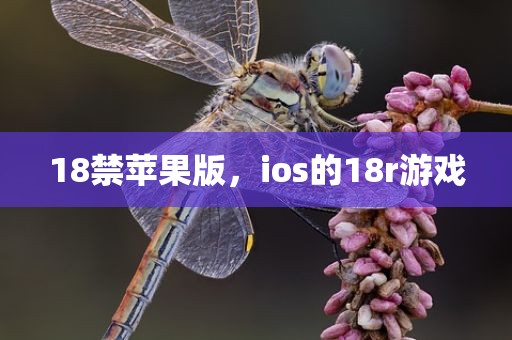 18禁苹果版，ios的18r游戏