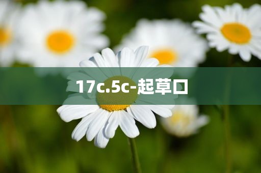 17c.5c-起草口