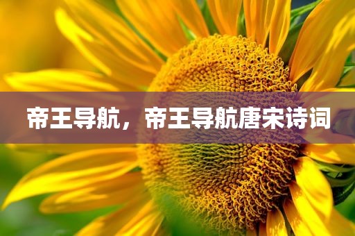 帝王导航，帝王导航唐宋诗词