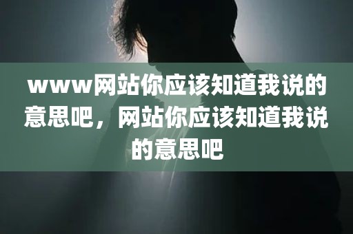 www网站你应该知道我说的意思吧，网站你应该知道我说的意思吧