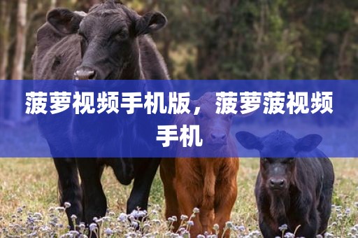 菠萝视频手机版，菠萝菠视频手机