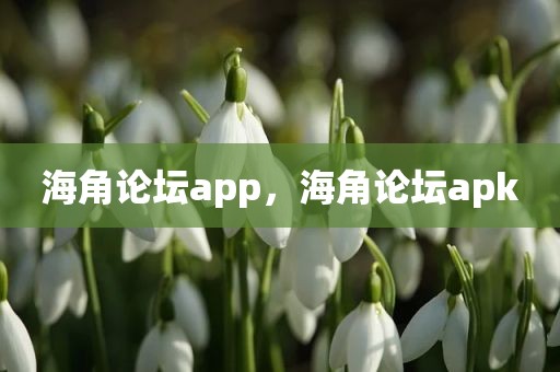 海角论坛app，海角论坛apk