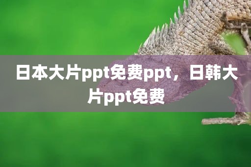 日本大片ppt免费ppt，日韩大片ppt免费