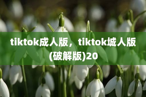 tiktok成人版，tiktok城人版(破解版)20