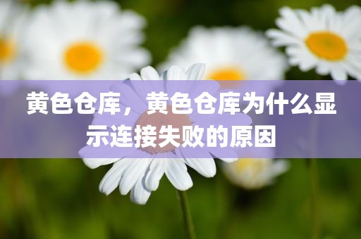 黄色仓库，黄色仓库为什么显示连接失败的原因