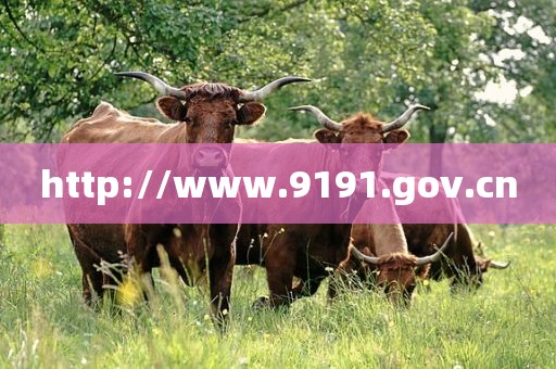 http://www.9191.gov.cn