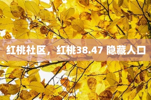 红桃社区，红桃38.47 隐藏人口