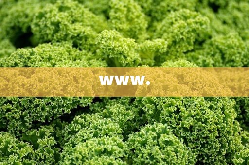 www.