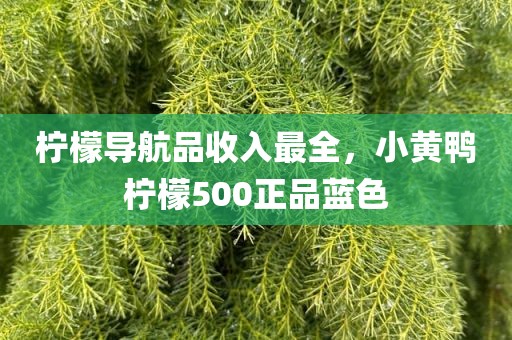 柠檬导航品收入最全，小黄鸭柠檬500正品蓝色