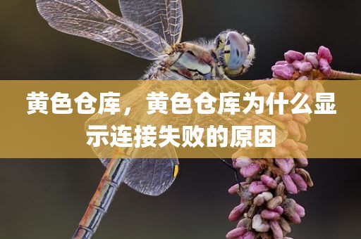 黄色仓库，黄色仓库为什么显示连接失败的原因