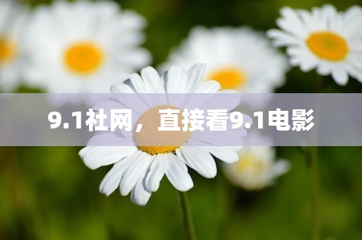 9.1社网，直接看9.1电影
