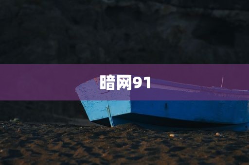 暗网91