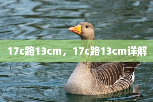 17c路13cm，17c路13cm详解