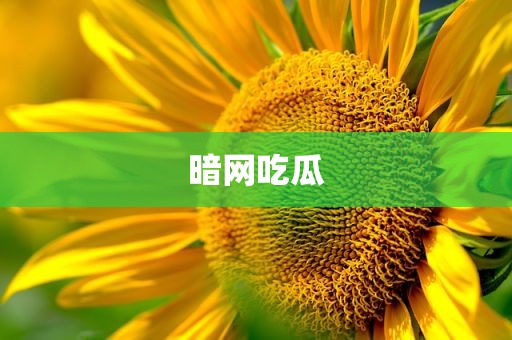 暗网吃瓜