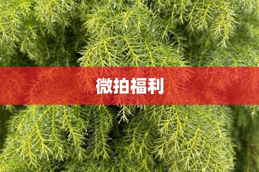 微拍福利