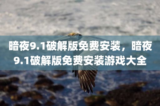 暗夜9.1破解版免费安装，暗夜9.1破解版免费安装游戏大全
