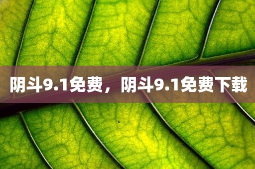 阴斗9.1免费，阴斗9.1免费下载