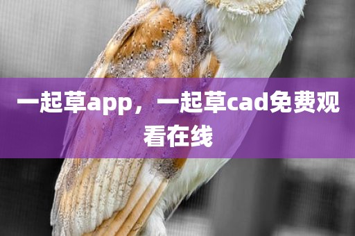 一起草app，一起草cad免费观看在线