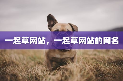 一起草网站，一起草网站的网名