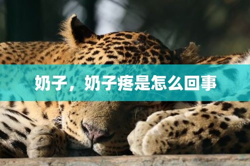 奶子，奶子疼是怎么回事
