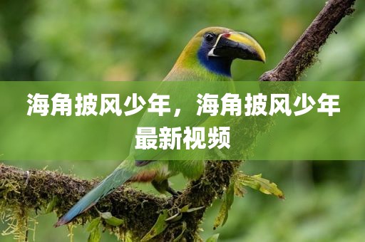 海角披风少年，海角披风少年最新视频