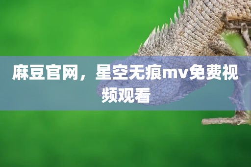 麻豆官网，星空无痕mv免费视频观看