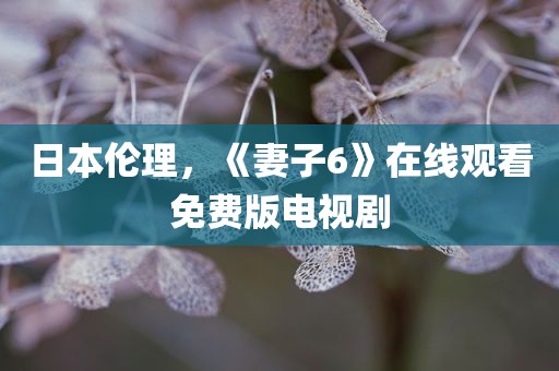 日本伦理，《妻子6》在线观看免费版电视剧