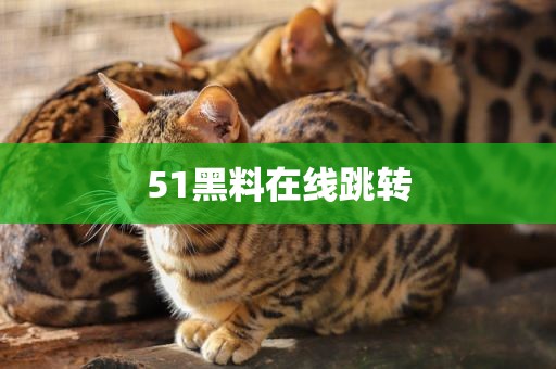 51黑料在线跳转