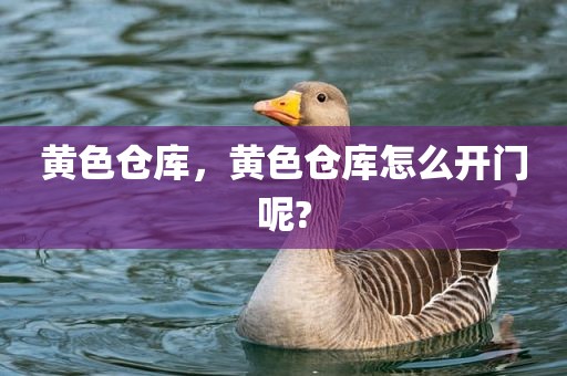 黄色仓库，黄色仓库怎么开门呢?