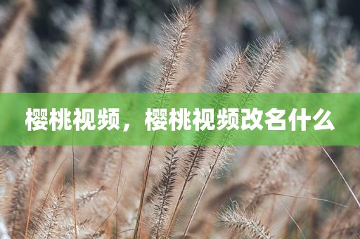 樱桃视频，樱桃视频改名什么