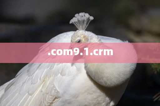 .com9.1.crm