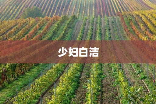 少妇白洁