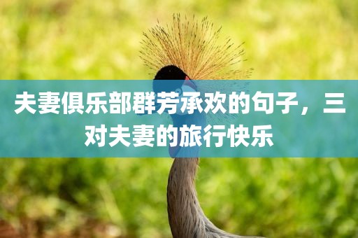 夫妻俱乐部群芳承欢的句子，三对夫妻的旅行快乐