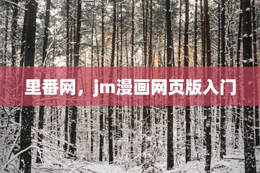 里番网，jm漫画网页版入门