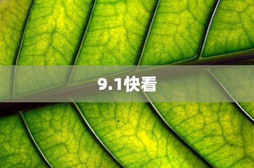 9.1快看