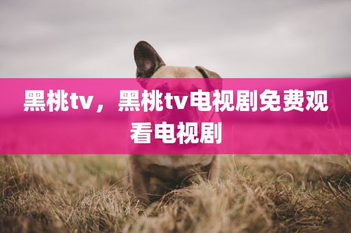 黑桃tv，黑桃tv电视剧免费观看电视剧