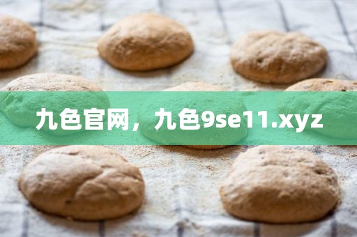 九色官网，九色9se11.xyz