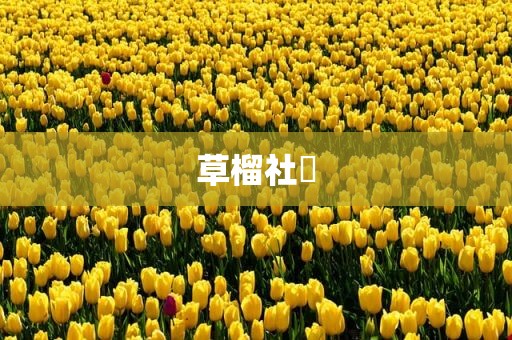 草榴社區