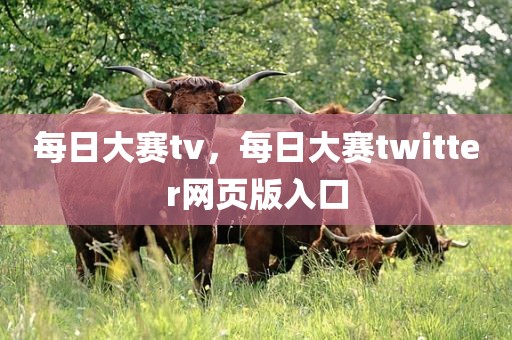 每日大赛tv，每日大赛twitter网页版入口