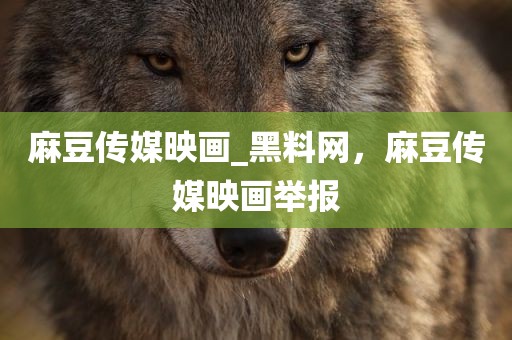 麻豆传媒映画_黑料网，麻豆传媒映画举报