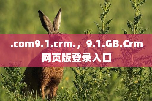 .com9.1.crm.，9.1.GB.Crm网页版登录入口
