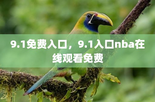 9.1免费入口，9.1入口nba在线观看免费