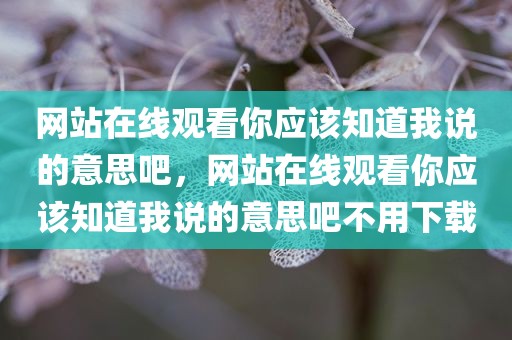 网站在线观看你应该知道我说的意思吧，网站在线观看你应该知道我说的意思吧不用下载