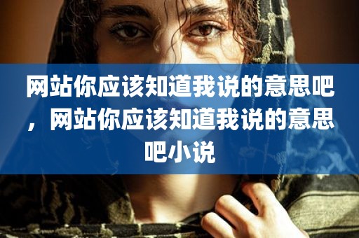 网站你应该知道我说的意思吧，网站你应该知道我说的意思吧小说