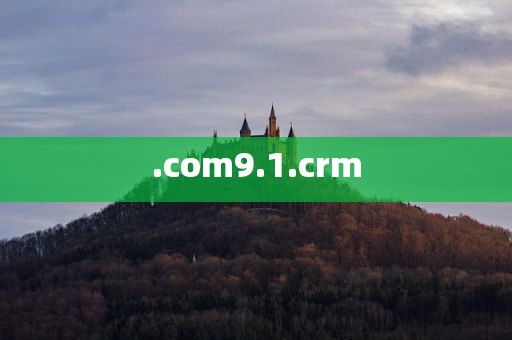 .com9.1.crm