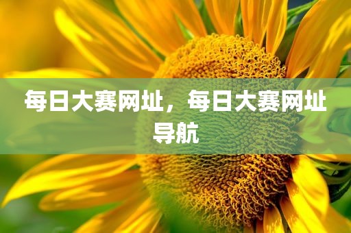 每日大赛网址，每日大赛网址导航