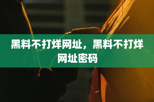 黑料不打烊网址，黑料不打烊网址密码