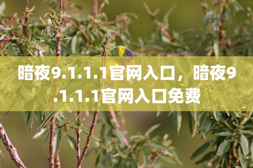 暗夜9.1.1.1官网入口，暗夜9.1.1.1官网入口免费