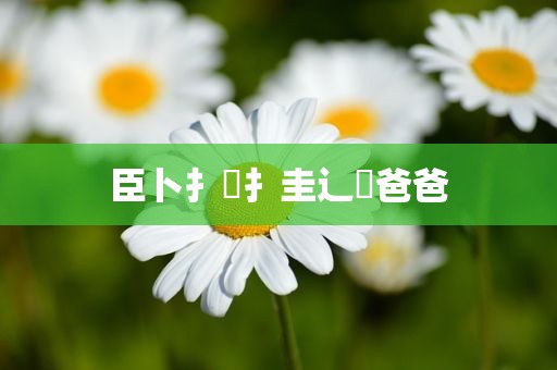 臣卜扌喿扌圭辶畐爸爸